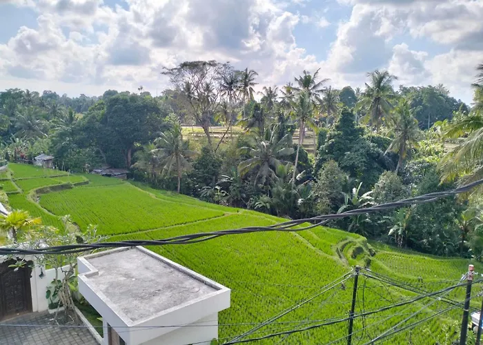 Séjour chez l'habitant Taman Asri Ubud